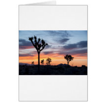 Le Tree Park Party Personnalise Le Destiny Destiny