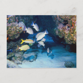 LE TROU DANS LA CARTE POSTALE DU MUR