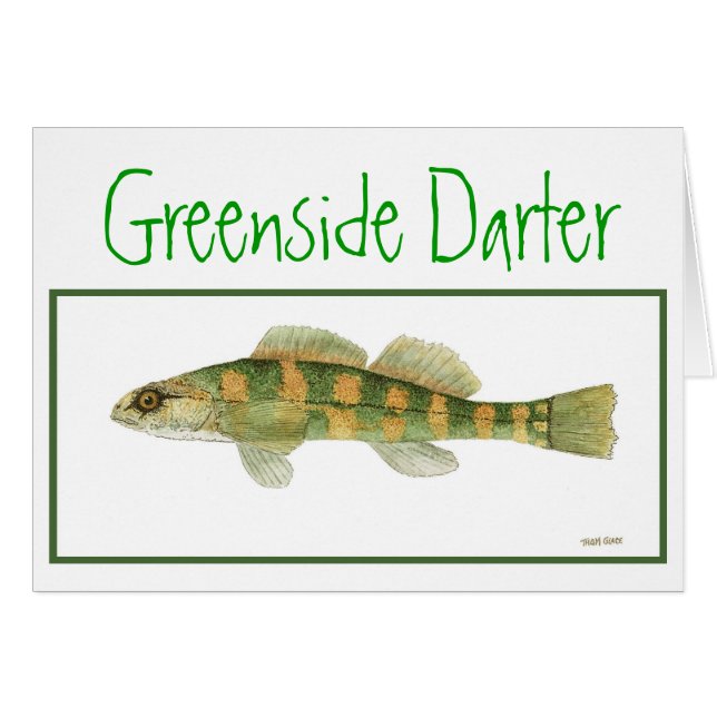 Le vert a dégrossi carte de Darter (Devant horizontal)