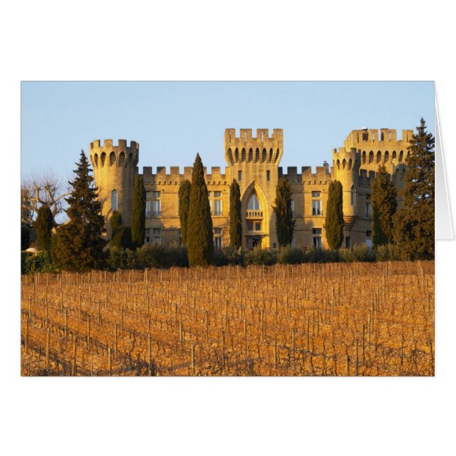 Le vignoble avec des vignes de syrah et le château (Devant horizontal)