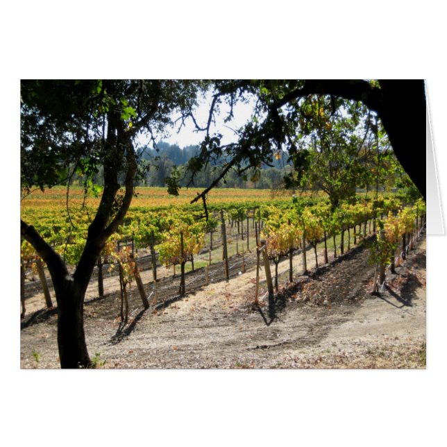 Le vignoble de Sonoma (Devant horizontal)