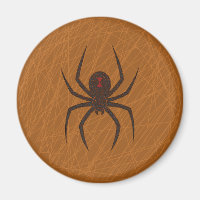 Le Web Magnet de l'araignée