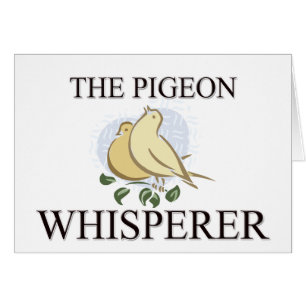 Le Whisperer de pigeon