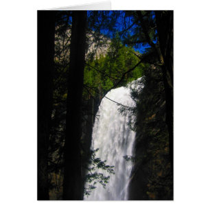 le yosemite tombe dans les arbres