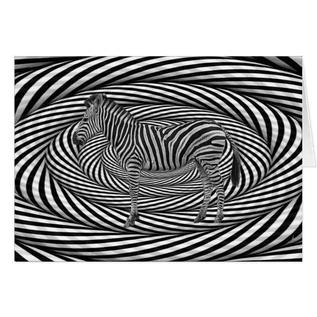 Le zèbre brillent (Devant horizontal)