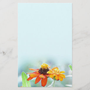 Le Zinnia fleurit la papeterie bleue