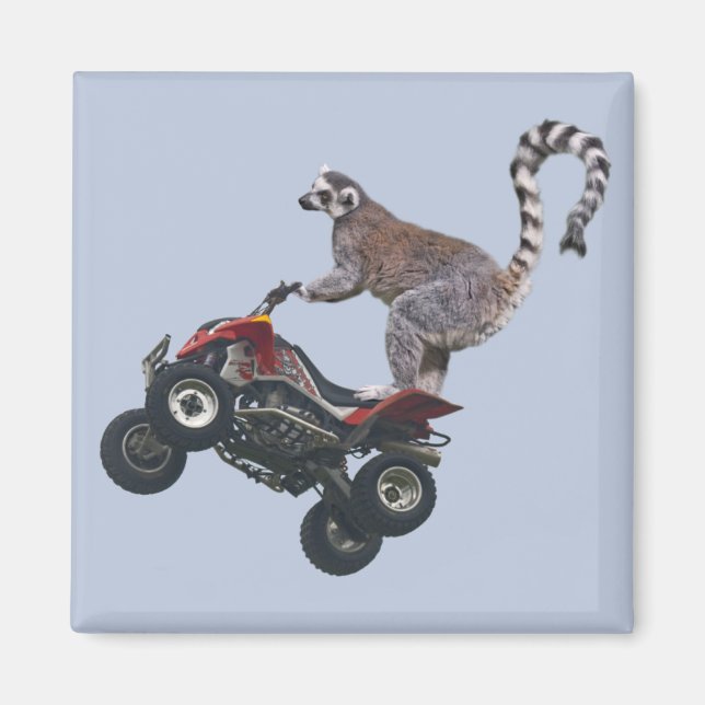 Leaping Lemur Magnet (Devant)