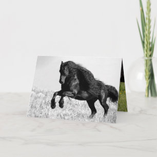 Leaps Friesian Stallion - Carte de voeux Cheval