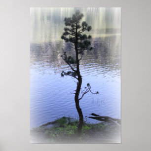 L'eau de réflexion de zen et affiche d'arbre