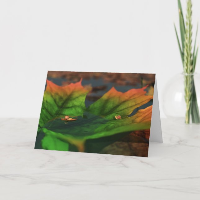 L'Eau Est Grande Carte (Devant)