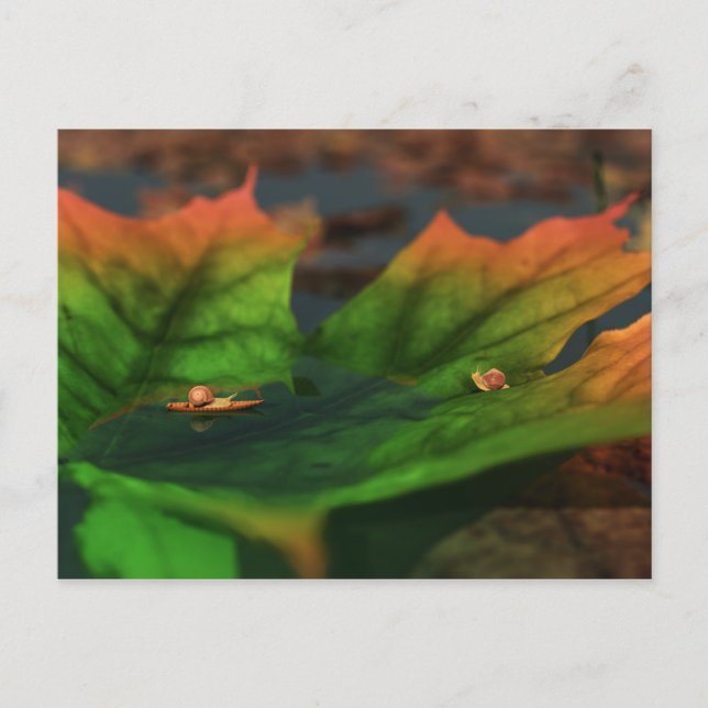 L'Eau Est Grande Carte Postale (Devant)