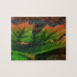 L'Eau Est Un Grand Puzzle