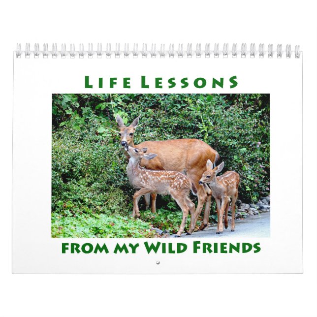 Leçons de vie calendrier des murs animaux (Protection)