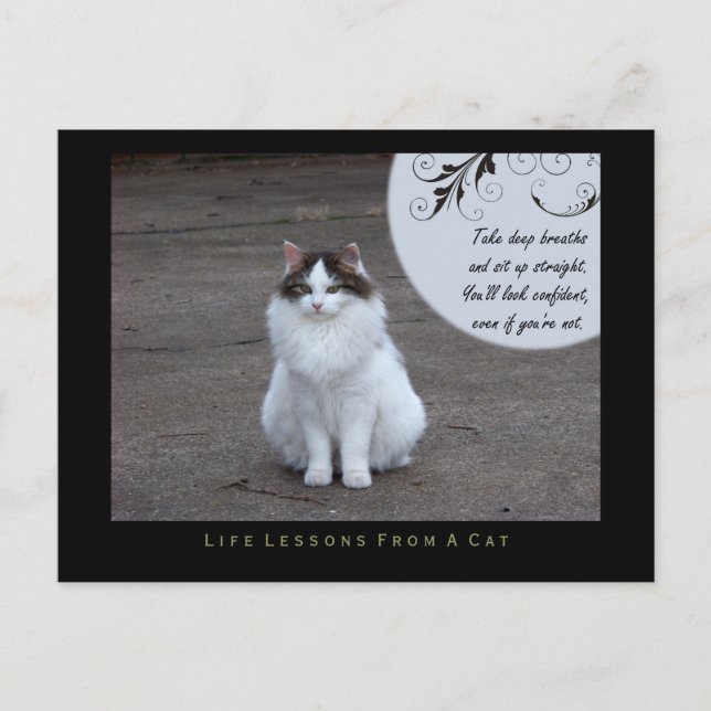 Leçons de vie confiantes d'une carte postale de ch (Devant)
