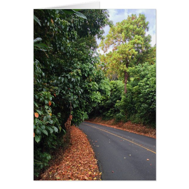 Lecteur supérieur (Devant)