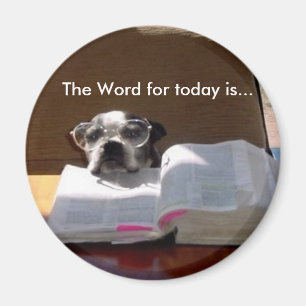 Lecture de la Bible Boston Terrier Magnet