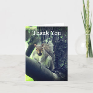 L'écureuil dans l'Arbre Carte de remerciements