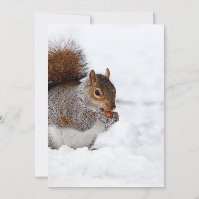 L'écureuil en hiver (Devant)