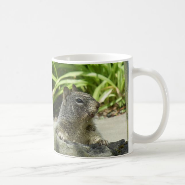 L'écureuil refroidit dans la Mug ombragée (Droite)