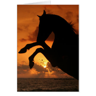 L'éducation au coucher du soleil