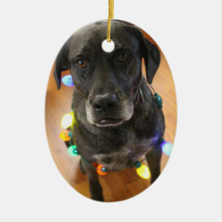 Lefy + Ornement de Hoiday de lumières