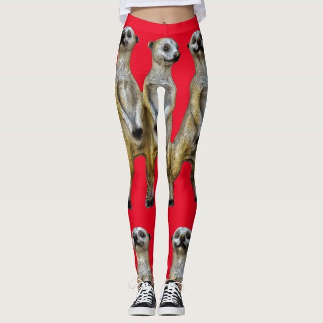Leggings 3 Meerkats debats Thunder_Cove (Devant)