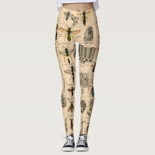 Leggings Abeille Insecte Bug Wasp Histoire naturelle abeill