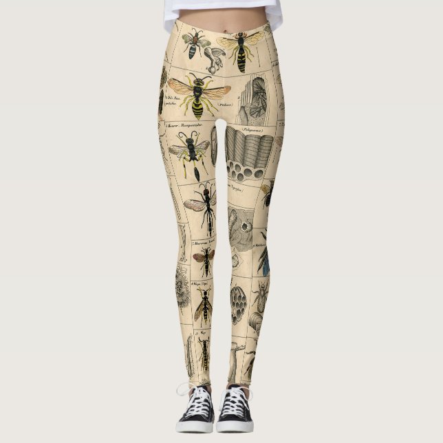 Leggings Abeille Insecte Bug Wasp Histoire naturelle abeill (Devant)