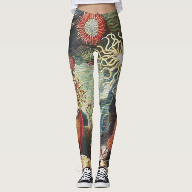 Leggings Anémones de mer de Haeckel Collage d'art de vie na (Devant)
