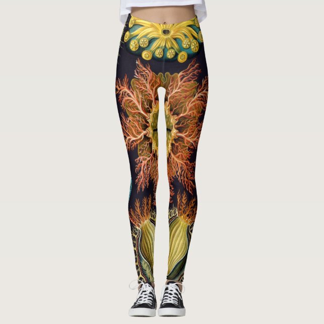 Leggings Ascidiae par Ernst Haeckel, Animaux Marins Anciens (Devant)