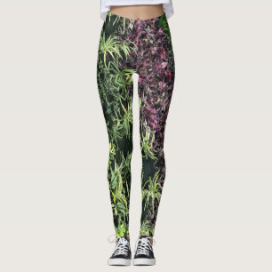 Leggings Bac vert