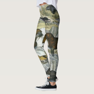 Leggings Baleines, phoques et morses, animaux marins vintag