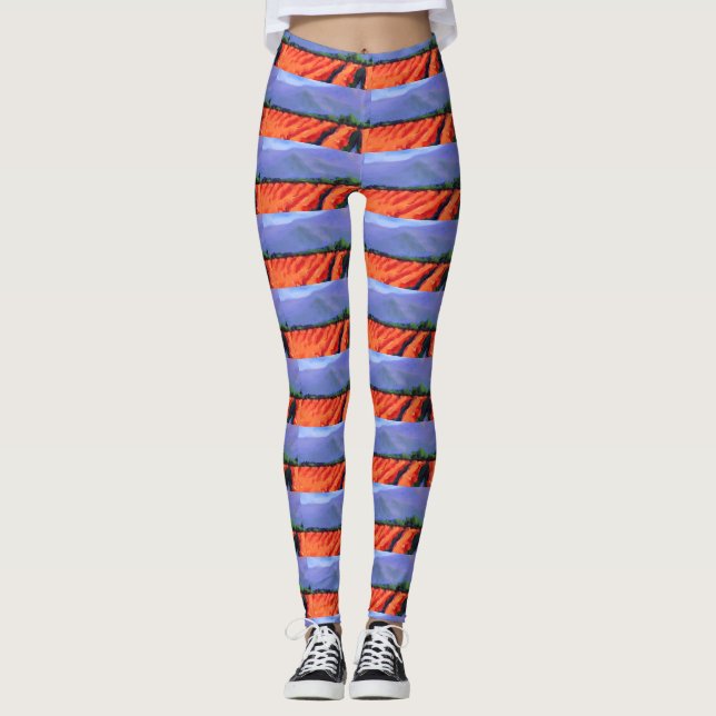 Leggings bleus ciels soyeux (Devant)
