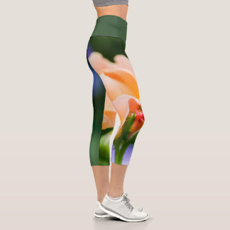 Leggings Capri désir