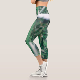 Leggings Capri Pale Pastel Green Gris Reeds Sky