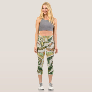Leggings Capri Papillon Vintage Papillons d'antiquités Motif