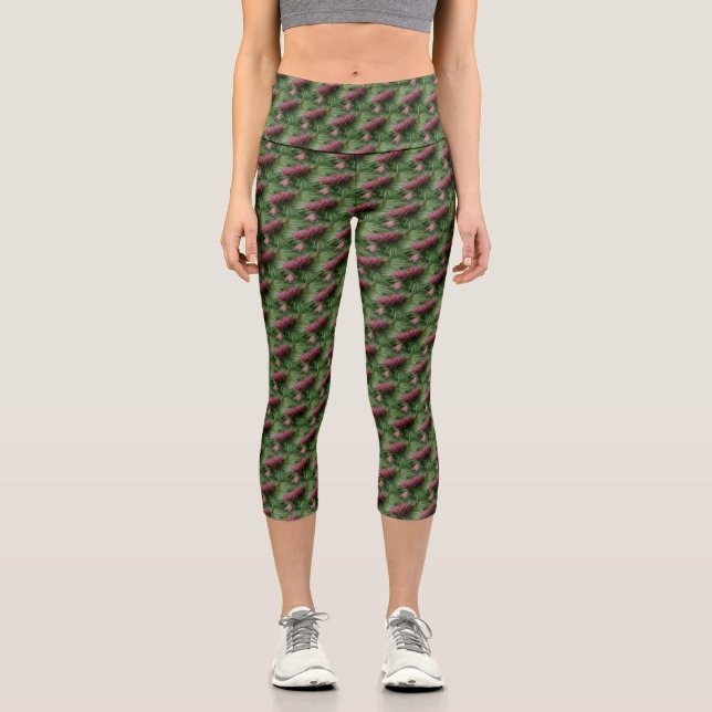Leggings Capri Pinecones Et Aiguilles De Pins Motif De La Nature (Recto)