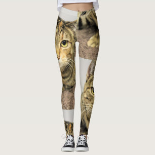 Leggings Cat