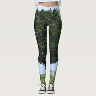 Leggings Cèdre puissant