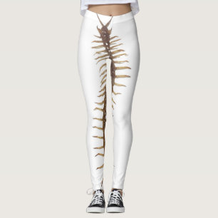 Leggings Centipede