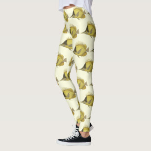 Leggings Chelmon Longirostris Tropical Jaune, Poisson Vinta