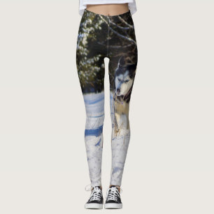 Leggings Chien de traîneau sibérien dans la neige