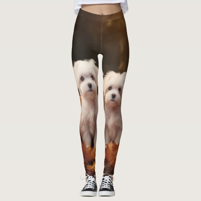 Leggings Chiots Maltais Automne Delight Pumpkin (Devant)