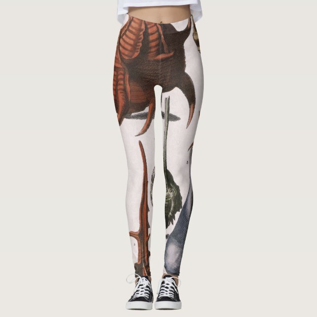 Leggings Coquillages vintages, Coquillages océaniques Marin (Devant)