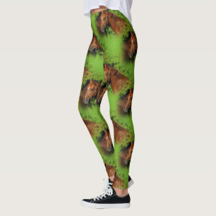 Leggings Deux beaux chevaux châtains au soleil