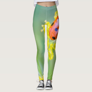 Leggings femme au sommet