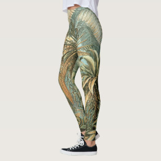 Leggings Filicinae par Ernst Haeckel, plantes de fougères a