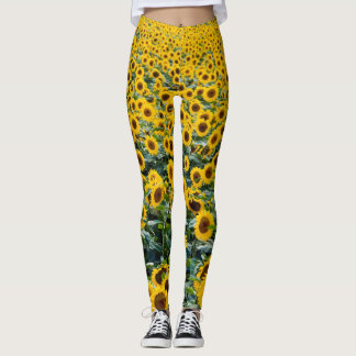 Leggings Fleurs de soleil, Wisconsin field