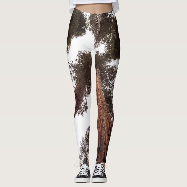 Leggings forêt, arbre (Devant)