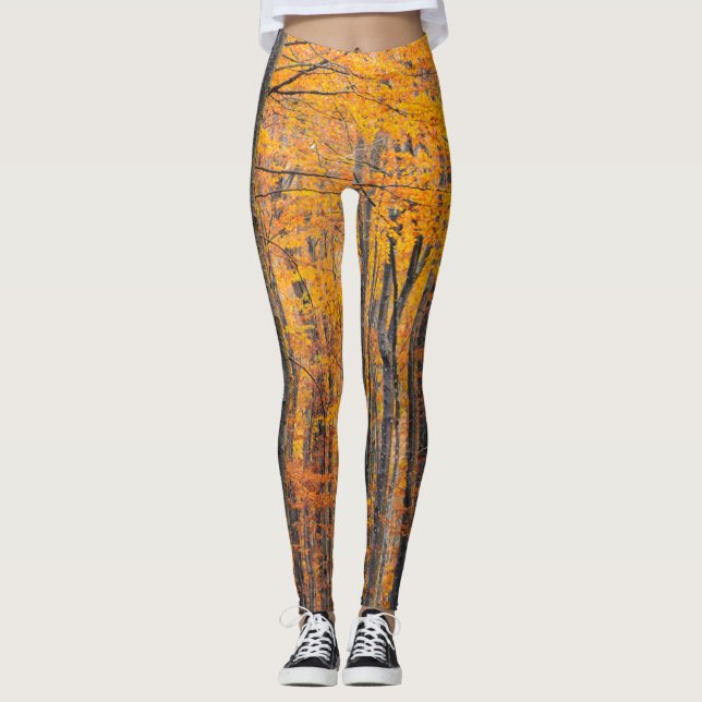 Leggings Forêt d'automne d'or étonnante (Devant)